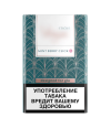 NEO Nano sticks - Vogue Sticks Mint Berry Click - NEOSTIKS